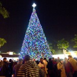 Jaclyn Stapp to Read to Over 30,000 at Delray Beach Tree Lighting! 